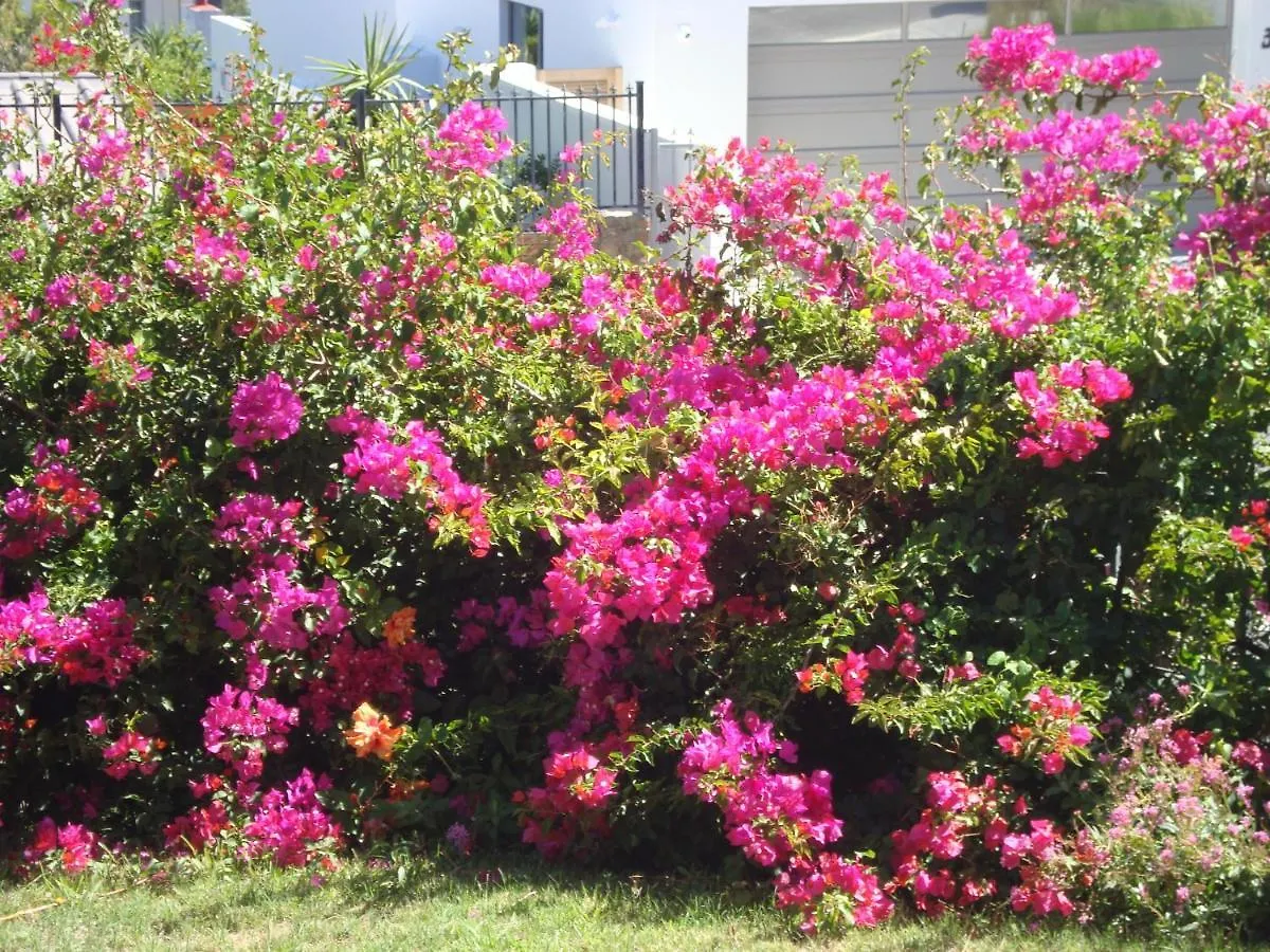 Marie'S Self-Catering Accomodation Cape Town 0*,  South Africa